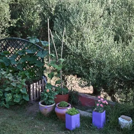 Anastasias Сasa de vacaciones